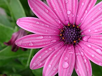 perdida y distante en mi propia intensidad